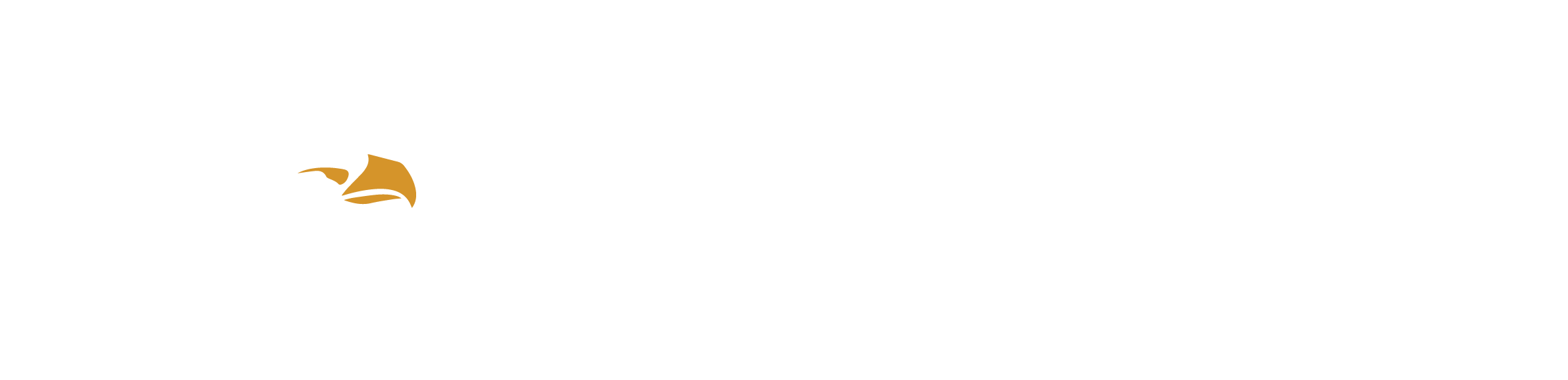 ace construction